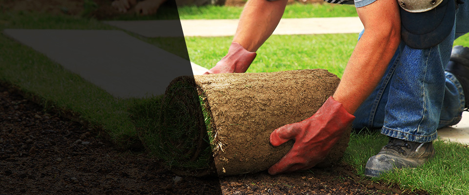 Green Isle Landscapers